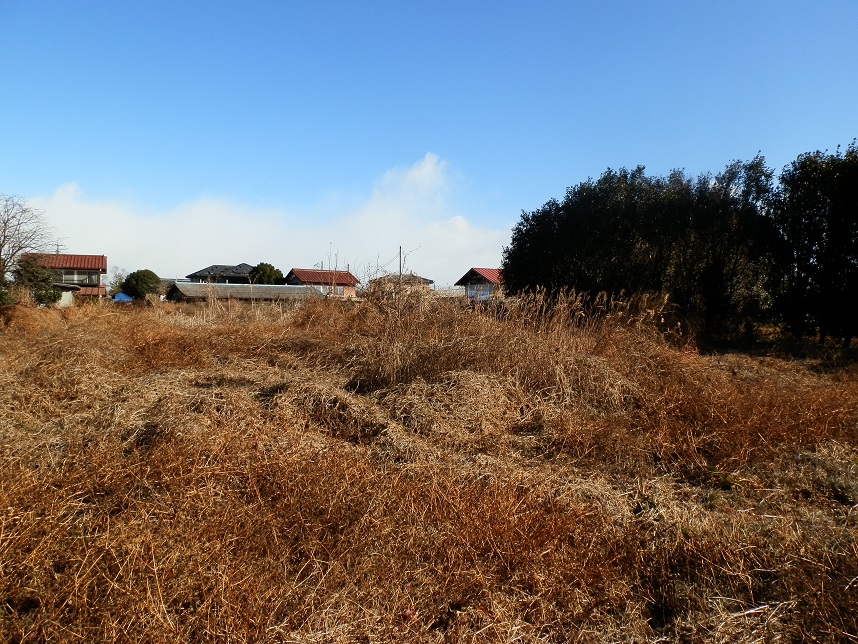 除草作業前