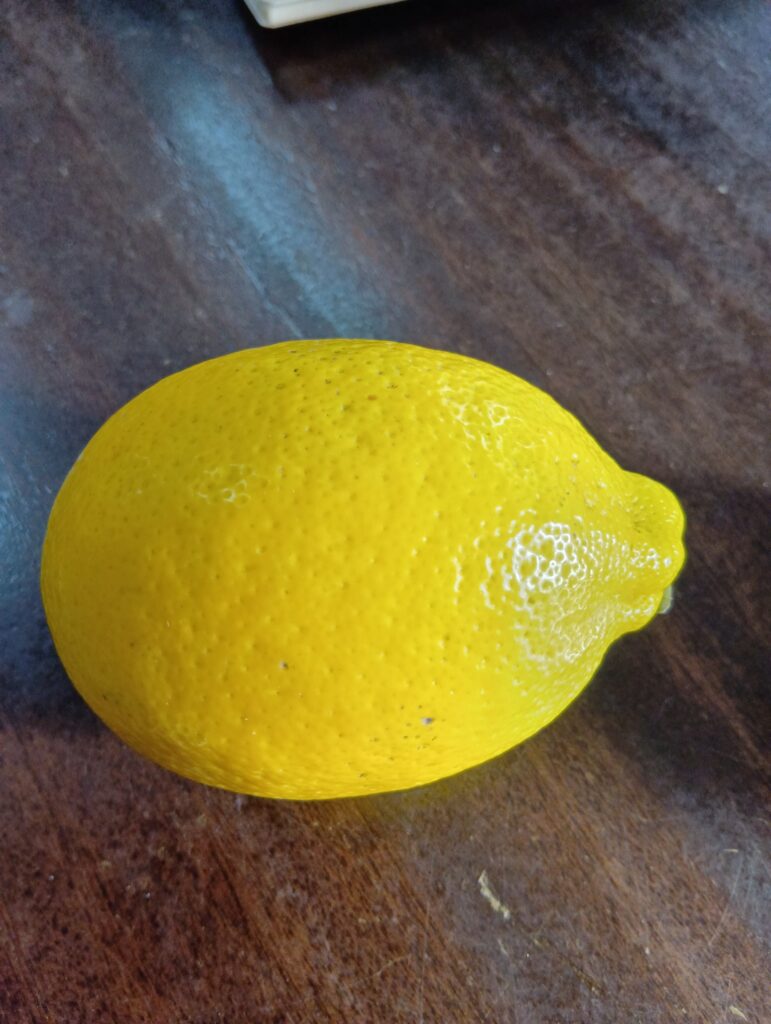 農薬不使用皮も安心レモン